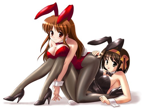 bunny,girl,hauruhi,suzumiya-f7b5fd9f0d88f613a48dc861e3fe4f48_h